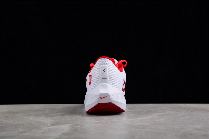 nike zoom  fj2844-100